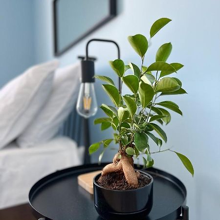 Apartamenty Rynek 7 Cieszyn  Εξωτερικό φωτογραφία