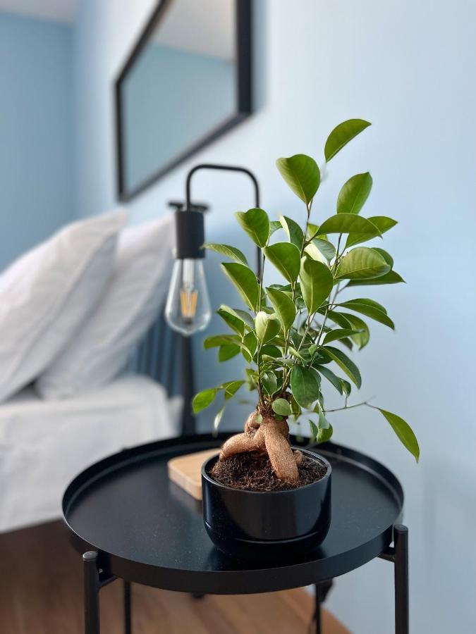 Apartamenty Rynek 7 Cieszyn  Εξωτερικό φωτογραφία