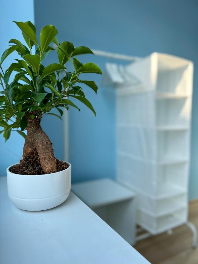 Apartamenty Rynek 7 Cieszyn  Εξωτερικό φωτογραφία